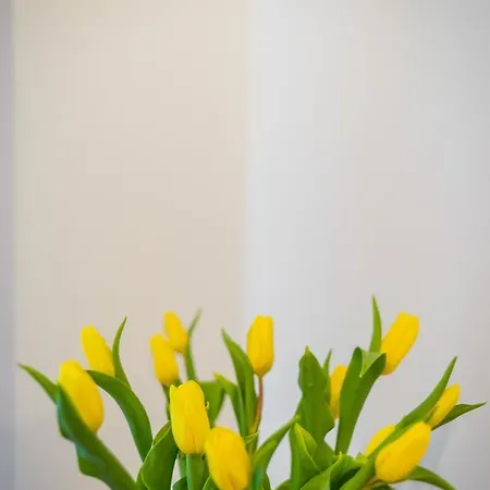 Zacisze Wawelofts Krakov