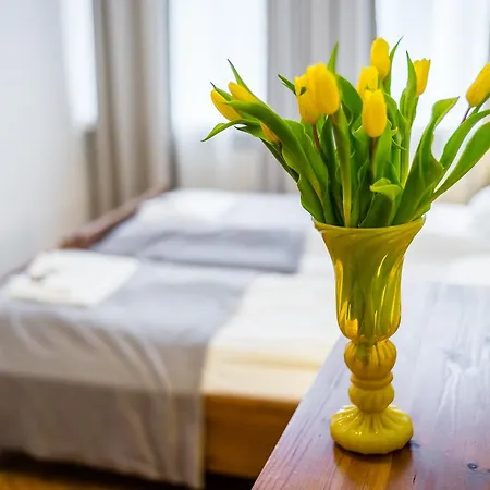 Zacisze Wawelofts Apartman Krakkó